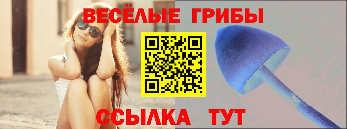 Севастополь  Галлюциногенные грибы Psilocybe  Вход с VPN  Галлюциногенные грибы мицелий 